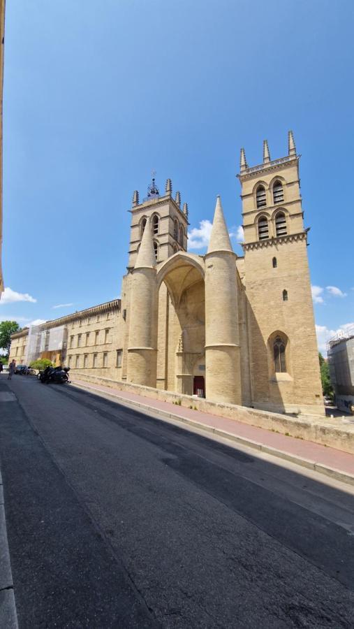 Le Petit Olivier En Coeur De Ville + Parking Incl. Μονπελιέ Εξωτερικό φωτογραφία