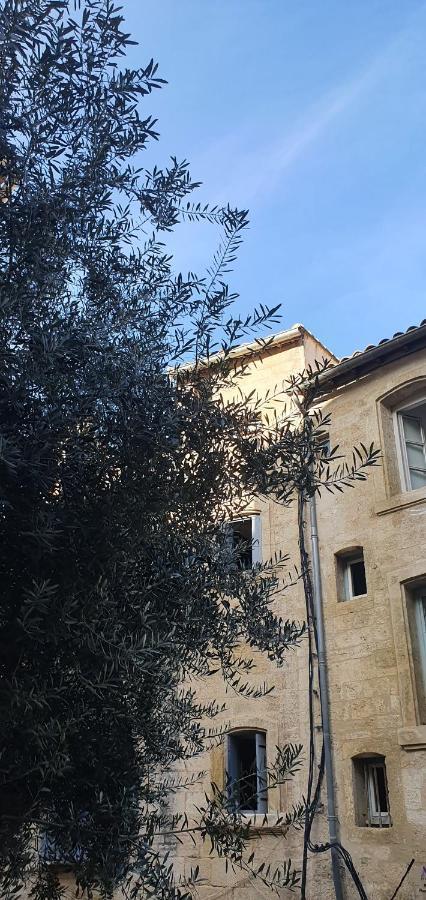Le Petit Olivier En Coeur De Ville + Parking Incl. Μονπελιέ Εξωτερικό φωτογραφία